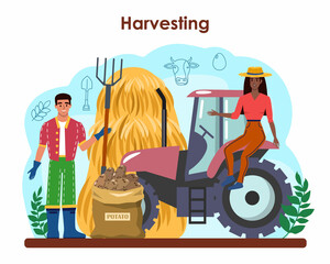 Farmer concept. Horticulture. Farm worker growing plants, vegetables
