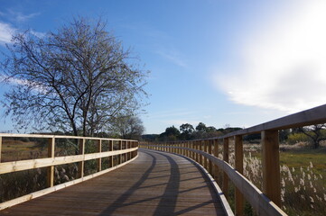 Piste cyclable et cycliste qui font font du vélo sur une voie verte vélo route en pédalant à bicyclette