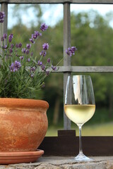glass of white wine on the window with a lavender pot