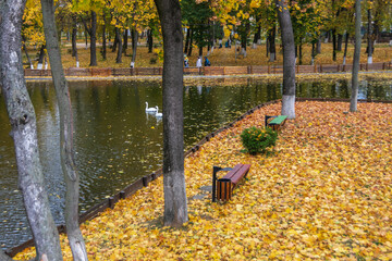 The lake from the Roman park in the autumn surrounded by colored trees, Romania