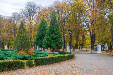 Autumn in the Roman Park with colored leaves, Romania