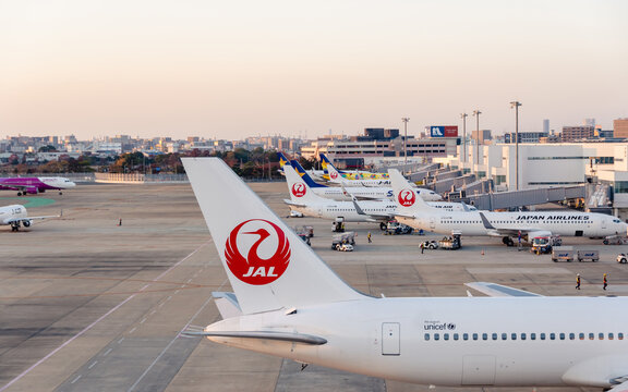 福岡空港　飛行機　夕方