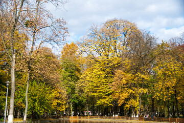 Autumn in the Roman Park with colored leaves, Romania