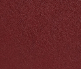 Fototapeta premium red leather texture