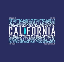 Vector illustration on the theme of CALIFORNIA beach, Sport typography, t-shirt graphics, print, poster, banner, flyer, postcard