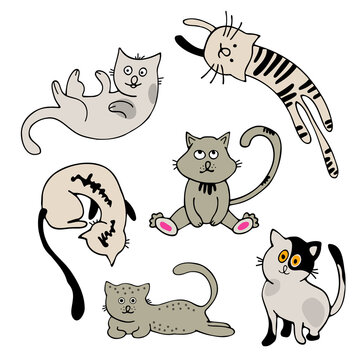 Set characters. Draw vector illustration character collection cute cats. Doodle cartoon style.