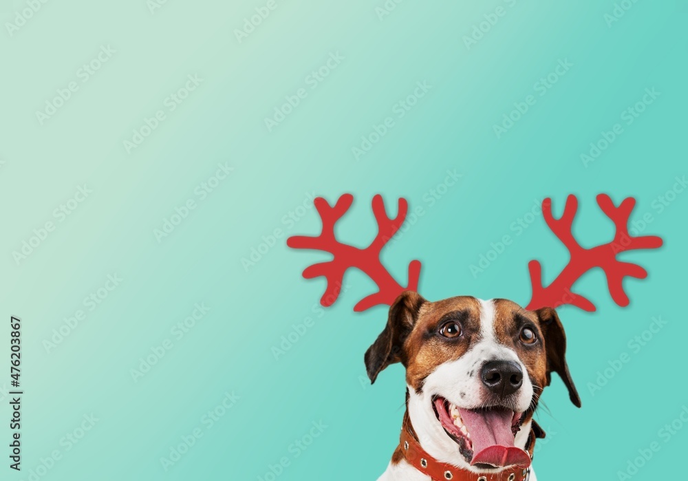 Canvas Prints Dog with horns hat on pastel background, New year and Christmas concept