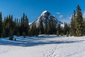 Sugarcone mountain in Egypt lake area covered in snow, Banff, Canada