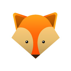 Little fox
