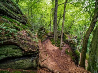 Impressive rock formations in Berdorf forest