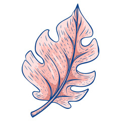 illustration of a leaf