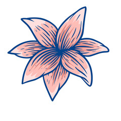 illustration of a flower