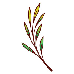 illustration of a flower