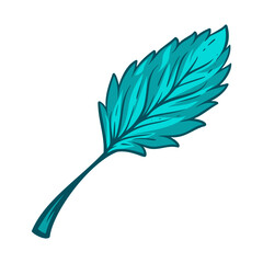 Hand drawn Leaf isolated