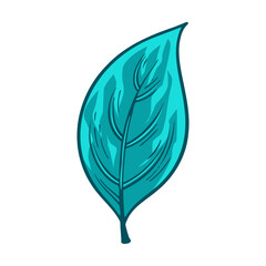 leaf