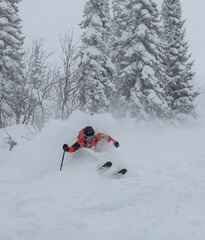 Freerider is buried in fresh snow, turning and jumping between the trees. freeride skiing in deep powder snow. Chest deep snow during snow storm. Good powder day. Funny skiing, rides over off-piste