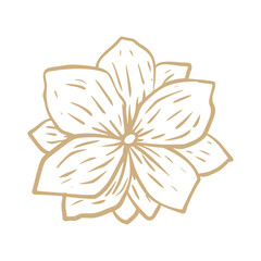 abstract background flower