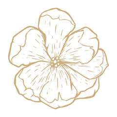 abstract background Hand Drawn Leaf