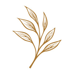 golden Hand Drawn Leaf isolated on white background