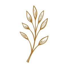 Hand Drawn Leaf tree
