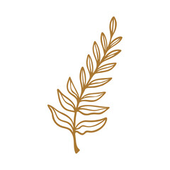 leaf isolated on white