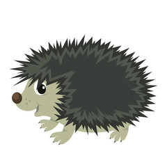 
Hedgehog, vector drawing. Color image of a cute little hedgehog.