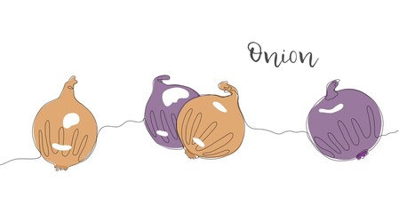 Onion. One line drawing isolated on white background. Beautiful hand drawn design vector illustration for posters, wall art, tote bag, mobile case, t-shirt print. Icon. Menu. Food label