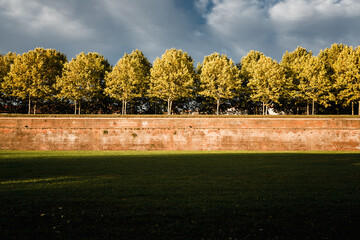 Lucca Tuscany