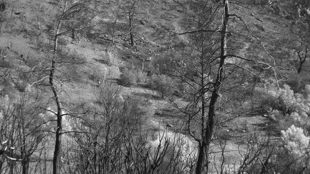Black and white 4k stock video footage of deserted black burnt out land and plants on hills of mountains in Turkey, Marmaris