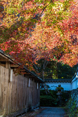 京都　-　【鍬山神社の紅葉】