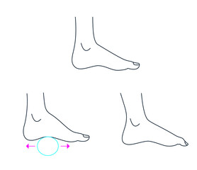 Line drawing feet illustrations