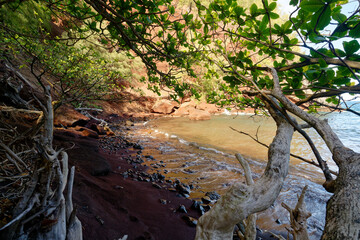 beach landscape by the ocean