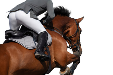 A rider on horseback jumping on white background. Sportsman on bay horse isolated on white...