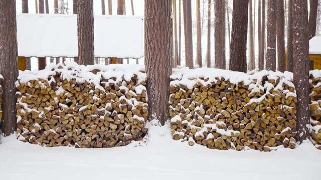 Close-up of a log cut. Firewood is laid out in a pile. Winter forest.