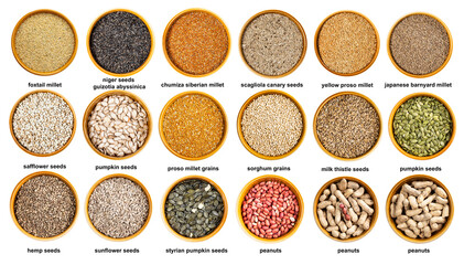 various grains, seeds and nuts in bowls with names