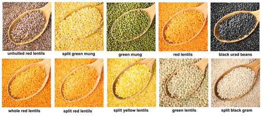 set of various lentils in wood spoons closeup - obrazy, fototapety, plakaty