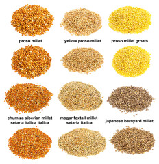 Fototapeta set of piles of variuos millet grains cutout obraz