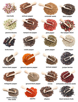 set of scoopes on pile of various spices cutout