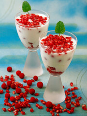 Yogurt with red fruits of autumn.