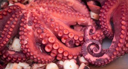 Pulpo cocido