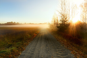 Dirt road among the landscape of late autumn in the early morning. Misty late November morning
