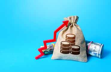 Money bag and red up arrow. Economic growth, GDP. Rise in profits, budget fees. Increase in the deposit rate. Increase income and business efficiency. Inflation acceleration. Investments.