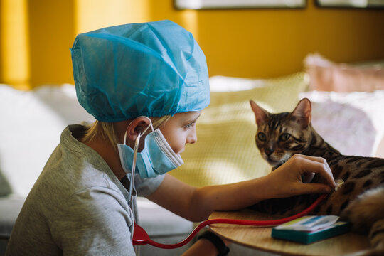 Male veterinarian checking cat's heartbeat with stethoscope at home