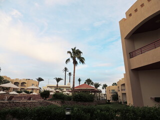 Palm trees and buildings in Sharm el Sheikh, Egypt. Bottom view. Structures and nature of Africa.