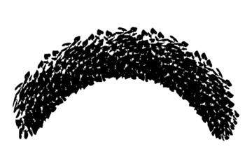 Set of monochrome silhouette of shrubs and trees. Decorative design element in black and white colors.Horizontal panorama with thicket of garden plants.