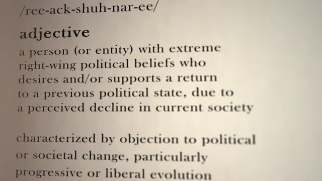 Reactionary Definition