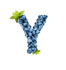 Letter Y, made with fresh blueberries isolated on white. Bluberries font of full alphabet set of upper case letters.