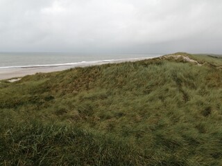 dunes Denmark landscape