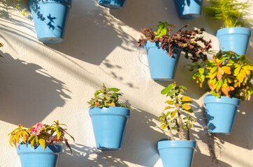 Blue ceramic flowerpots with flowers hanging on the wall, decorating the urban space
