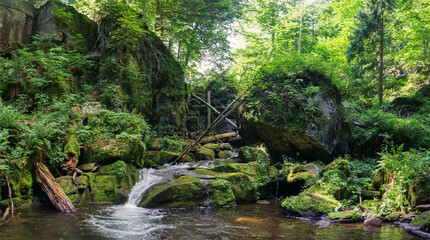 Mountain river in a wild European summer forest. Huge boulders overgrown with green moss